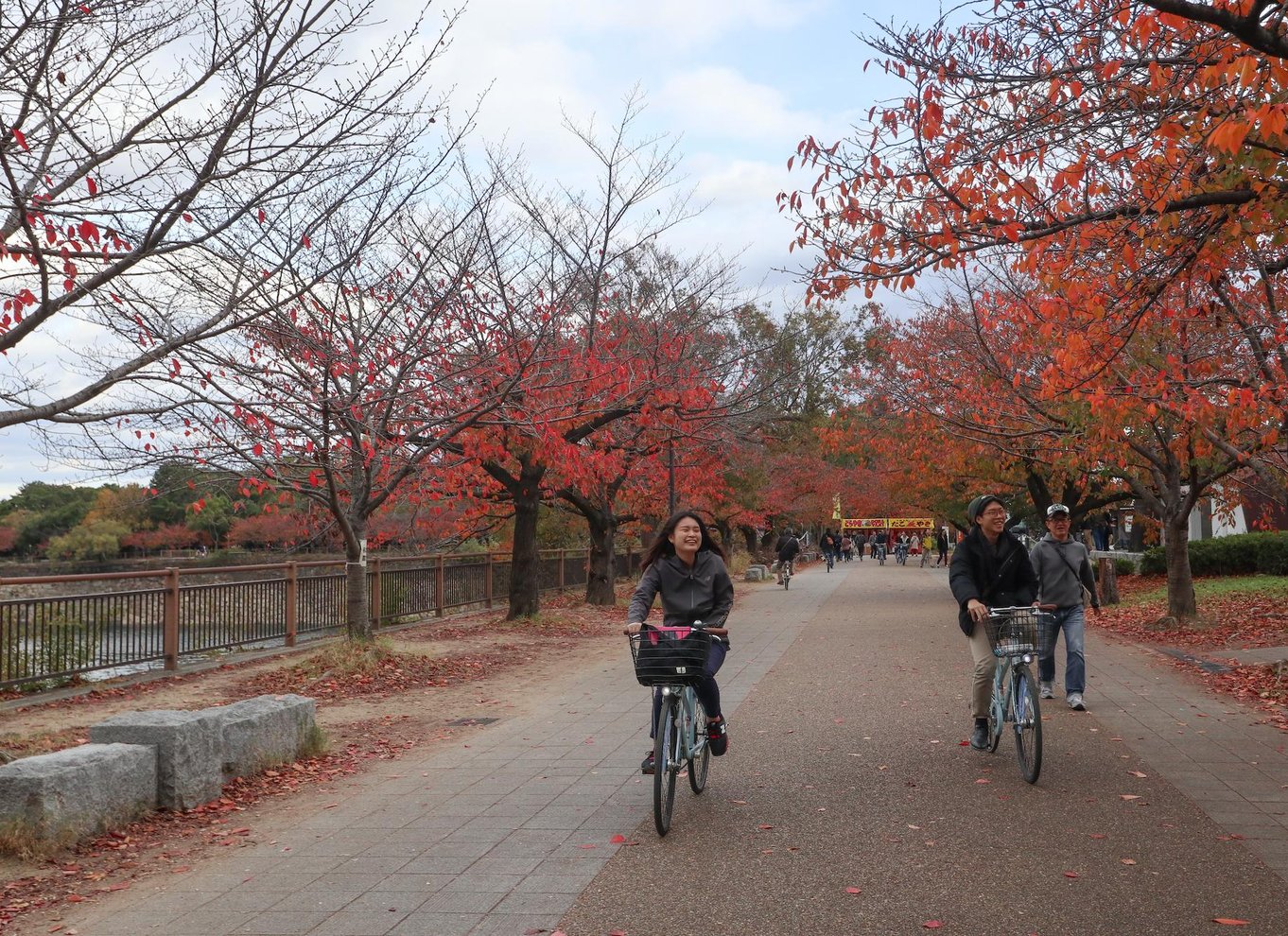 Osaka: Guidet cykeltur med byens højdepunkter og frokost