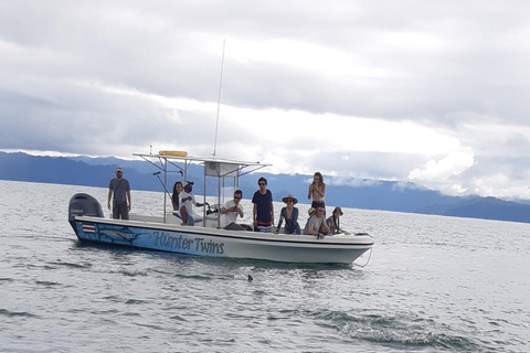 Corcovado snorkeling and wildlife tour