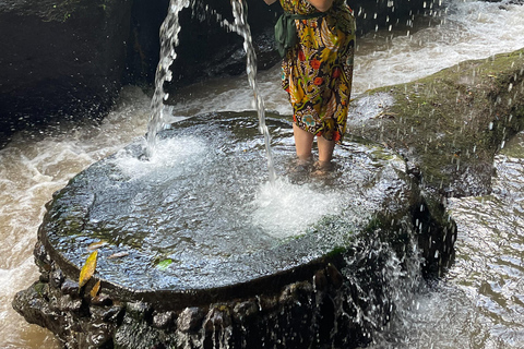 Bali: Tour del villaggio di Taro e del tempio dell&#039;acqua di sorgente sacraTour del Tempio dell&#039;Acqua Santa con trasporto da Ubud