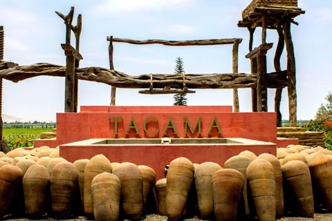 Vanuit Paracas | Excursie naar Ica en Huacachina