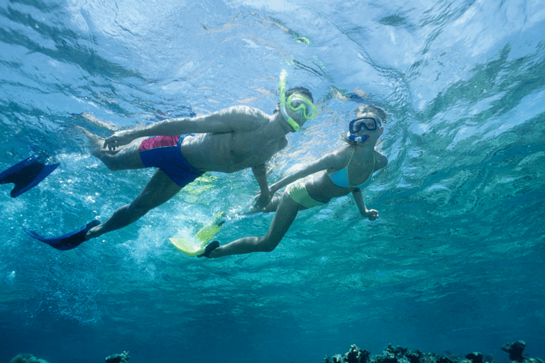 مغامرة الغوص مع سلحفاة وايكيكي