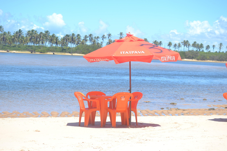 Salvador North Shore: Beach Hopping Tour to Praia do Forte