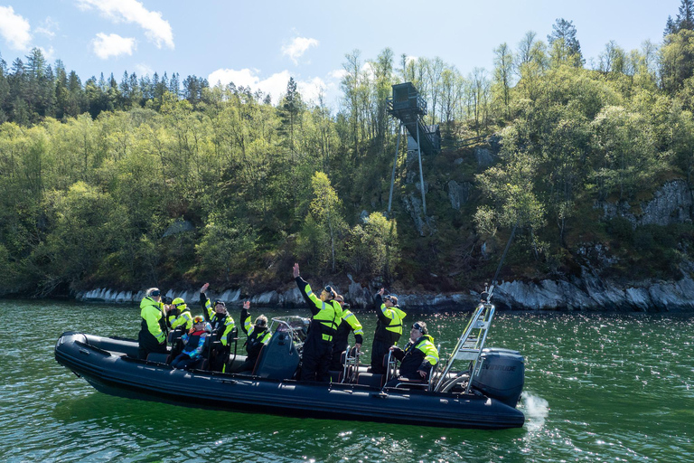 Bergen: Modalen RIB Fjord Safari with Lunch & Transfer