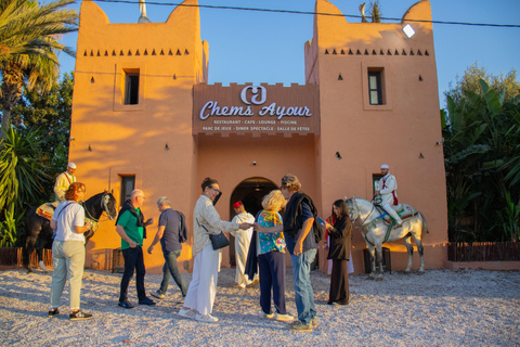 Agadir: Moroccan Wine Tasting Experience with Gourmet Bites Wine tasting and Moroccan food tasting, Gnawa music, with transportation