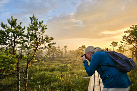 Ķemeri Great Bog With Optional Sunrise & Jūrmala Visit Ķemeri Bog Shared Small Group Tour