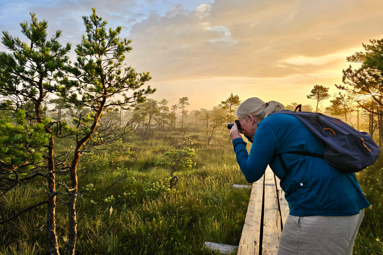 Ķemeri Great Bog With Optional Sunrise & Jūrmala Visit Ķemeri Bog Shared Small Group Tour