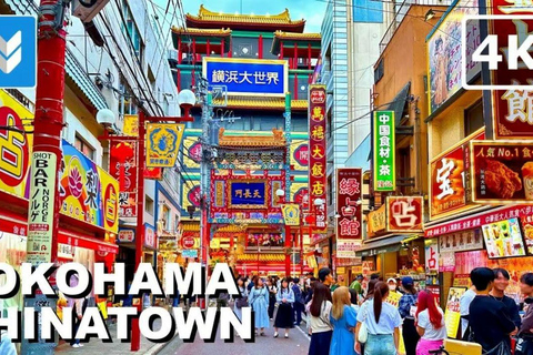 Tokyo: Kamakura & Enoshima Private Guided Day Trip