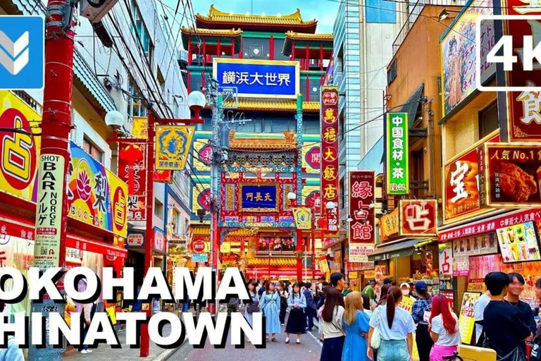 Tokyo: Kamakura & Enoshima Private Guided Day Trip