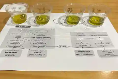 Olive Oil Tasting In Sevilla