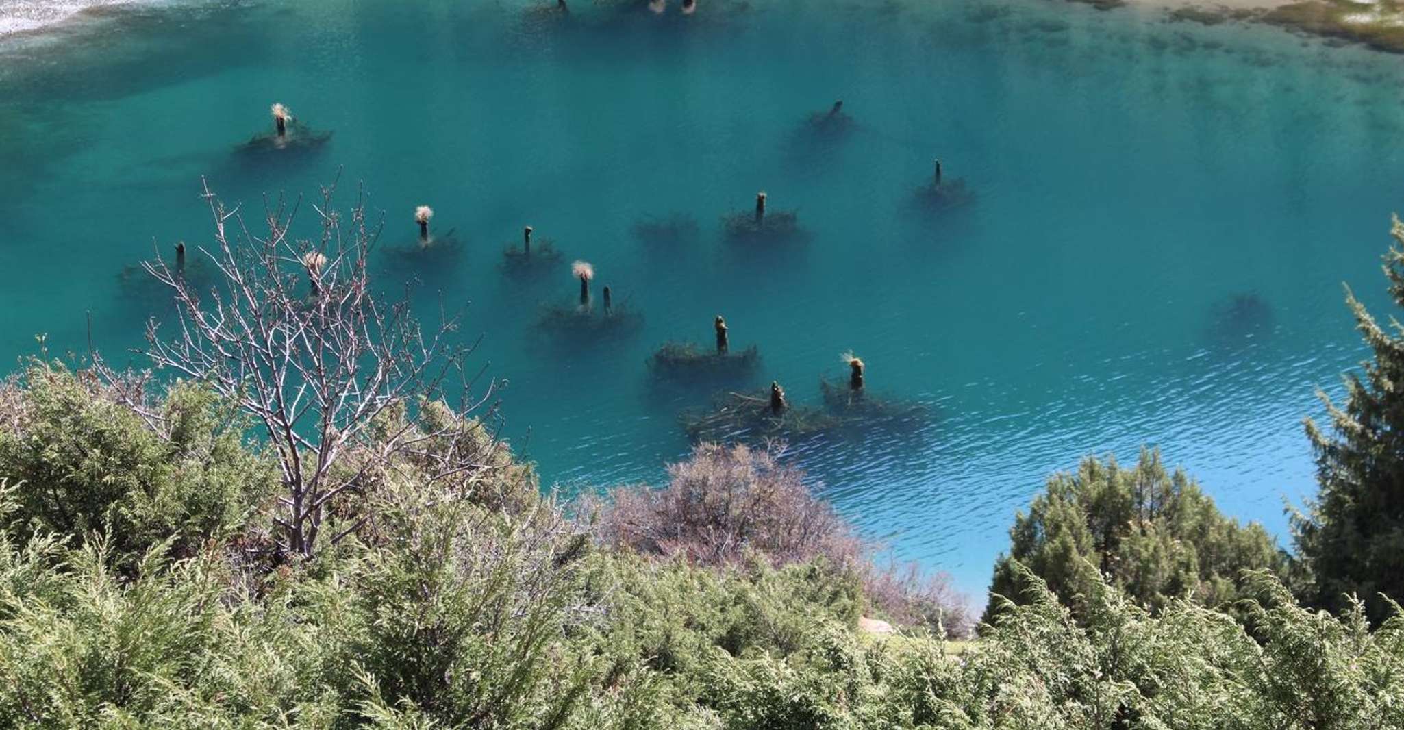 艾西克库尔（Issyk Kul）2天旅行 - Housity