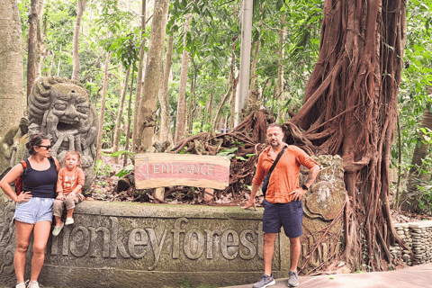 Bali: Ubud Rice Terraces, Monkey Forest & Waterfall Tour Full Package: All entry fees & lunch included