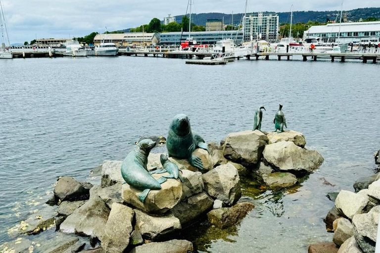 Experiência de descoberta em Hobart