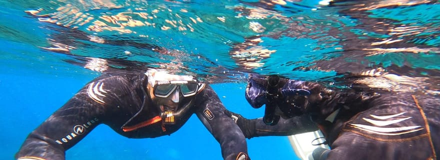 Tenerife : excursion de plongée avec tuba adaptée aux personnes qui ne savent pas nager