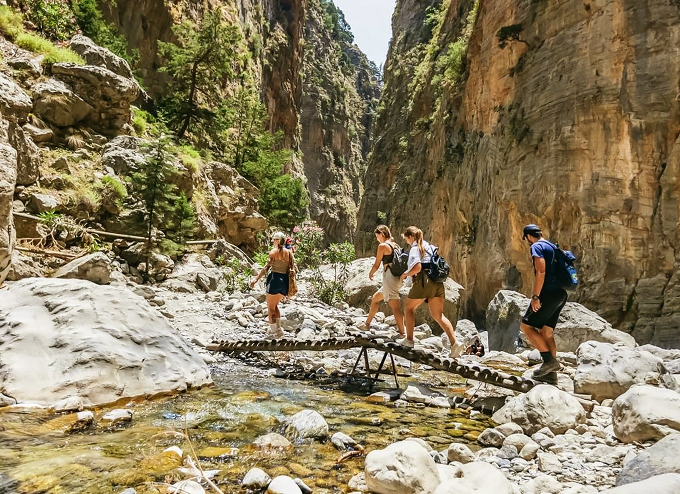 Fra Chania: Heldagsudflugt i Samaria-kløften med guide