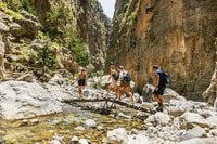 From Chania, Full-Day Samaria Gorge Trek Excursion - Housity