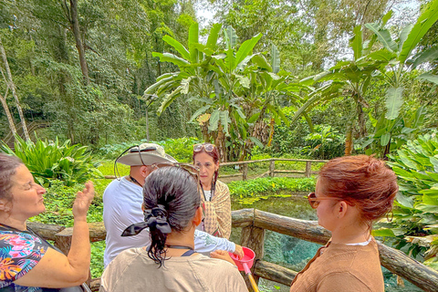 Chiang Mai: Sticky Waterfalls, Cave, and Lunch at Village Join-in With Lunch