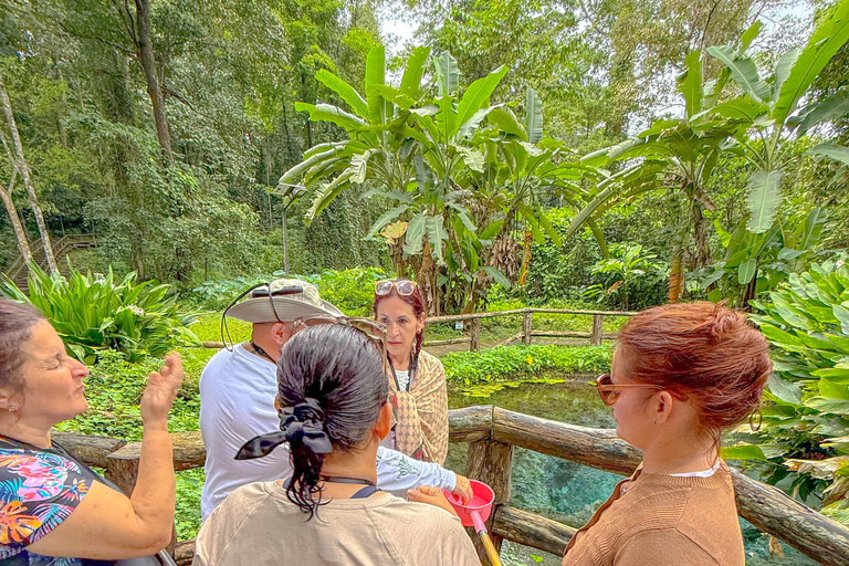 Chiang Mai: Sticky Waterfalls, Cave, and Lunch at Village Join-in With Lunch