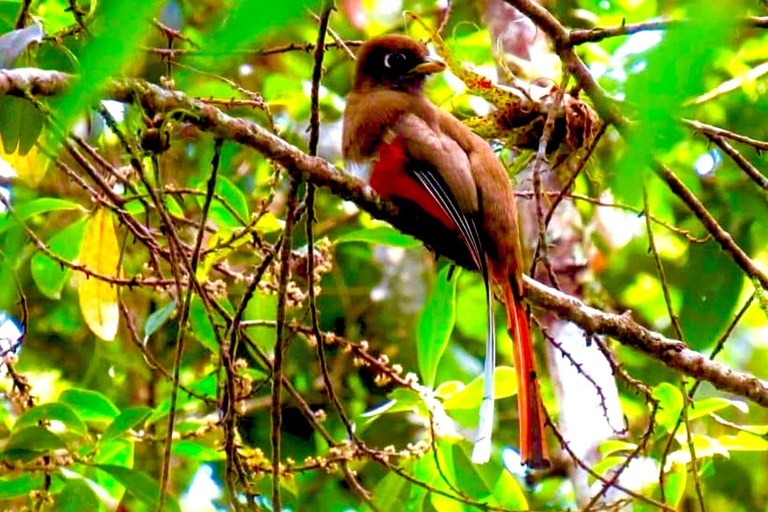 Sierra Nevada de Santa Marta: maruamake eco lodge