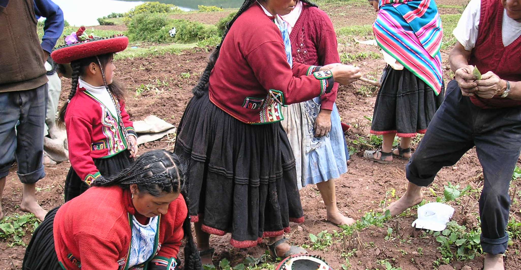 Rural Community Tourism in the Potato Park - Sacred Valley - Housity