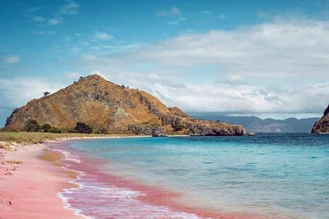 Komodo Island: Cruise Ship Tender to Pink Beach Snorkeling
