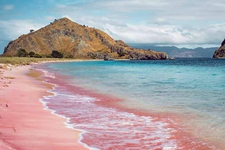 Komodo Island: Cruise Ship Tender to Pink Beach Snorkeling