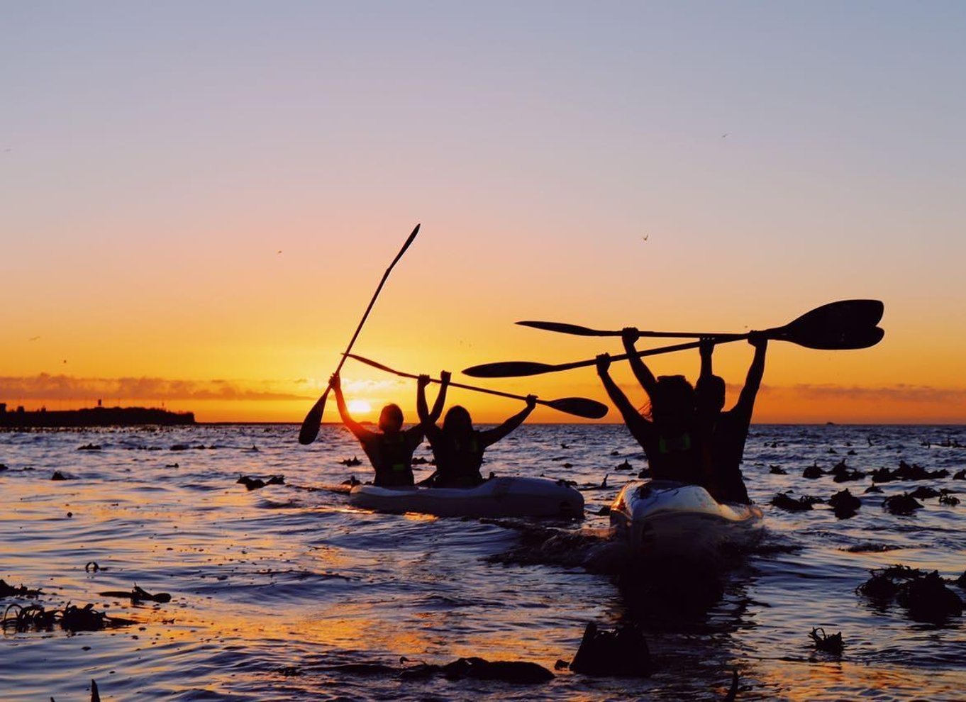 Cape Town: Kajaktur med marint liv fra V&A Waterfront