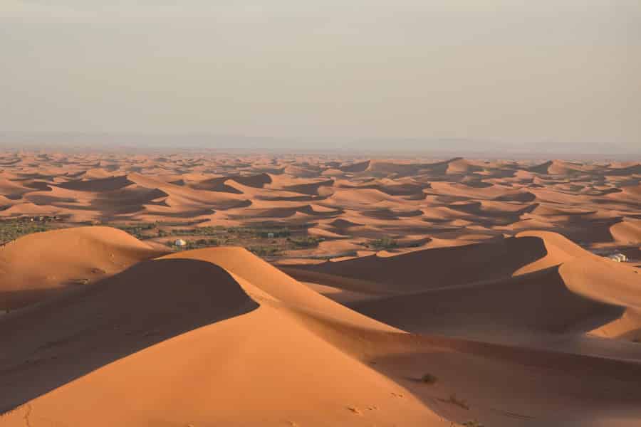 M'Hamid: 3-Tages-Sahara-Trek & Weiterfahrt mit dem Geländewagen nach Erg Chigaga. Foto: GetYourGuide