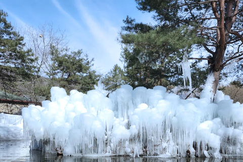 Gyeongju Winter Trip: Ice River+Bulguksa+Woljeong From Busan Shared Tour from Busan Subway Station Exit 2