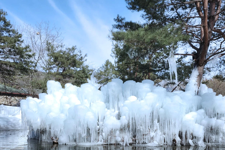 Gyeongju Winter Trip: Ice River+Bulguksa+Woljeong From Busan Shared Tour from Busan Subway Station Exit 2