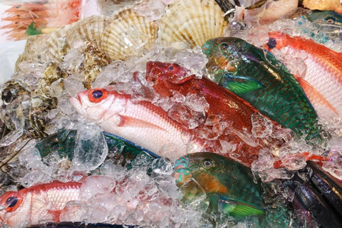 Tokyo: Gotemba Outlet and Numazu Port Full-Day Tour