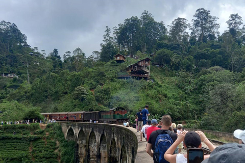 Mirissa to Ella: Rail Trails, Tea Villages & Highland Escape