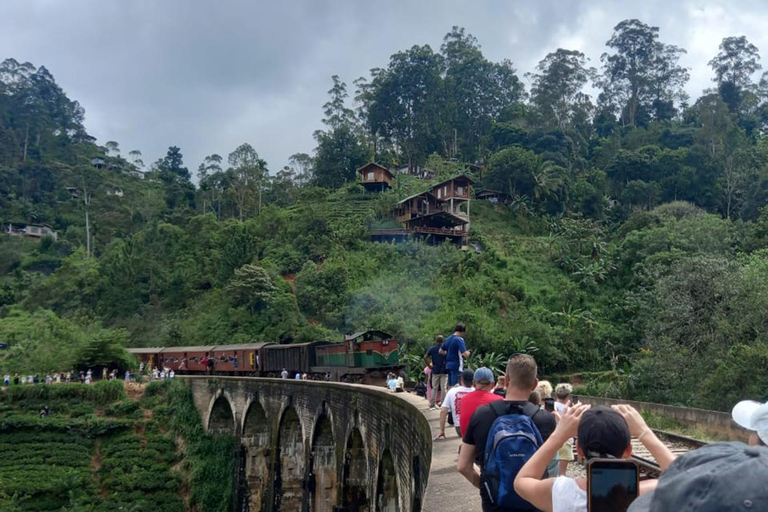 Mirissa to Ella: Rail Trails, Tea Villages & Highland Escape