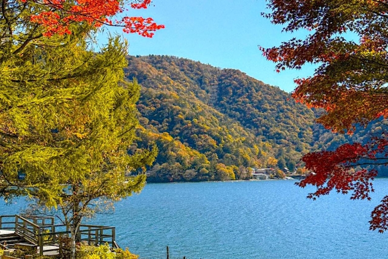 Nikko privé charter rondleiding met gidsVanuit Tokio: Nikko privé dagtour