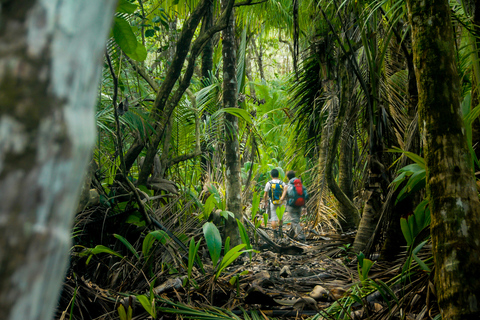 Parque Nacional del Corcovado: Excursión guiada de senderismo - Día completo