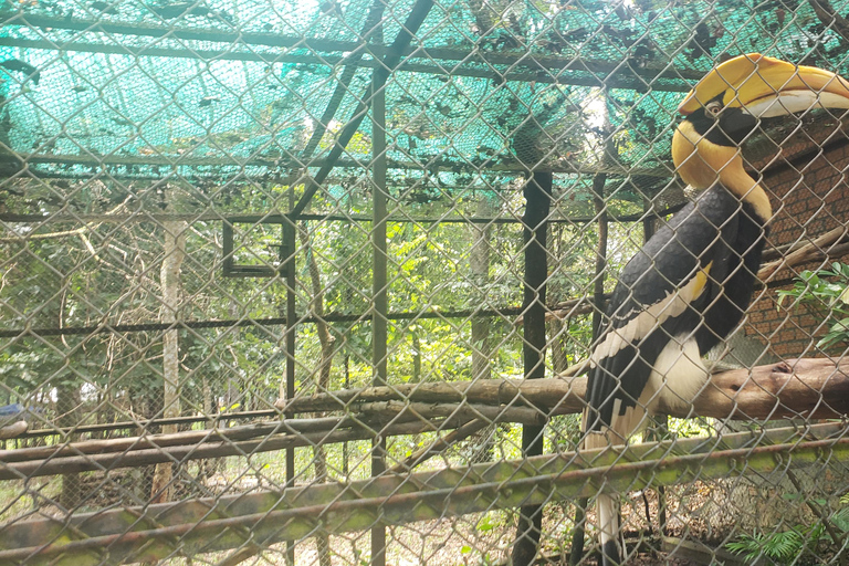 Chi so mountain _ Ta moa zoo_ Bati temple Tour