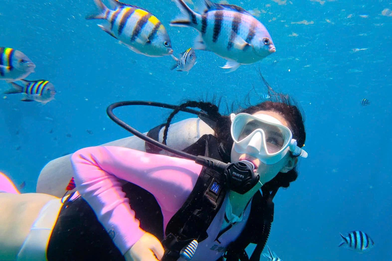 Da Nang: Cham Islands Fun Dive with Lunch and Transfers Fun Divers with Certified - two dive