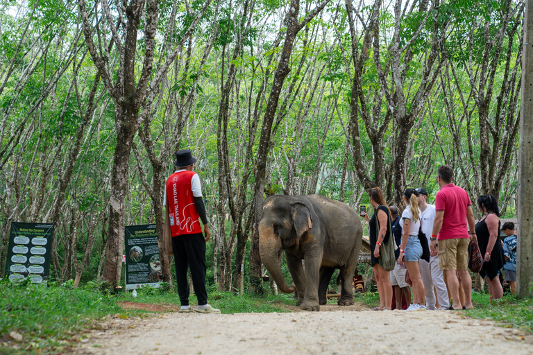 Khao Lak’s Best: Elephant Sanctuary,Rubber Tapping&Waterfall Khaolak Elephant Sanctuary Guided Tour with Hotel Transfers