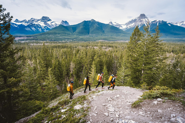 Canmore: 3 Hour Local Explorer Tour and Hike with a Guide