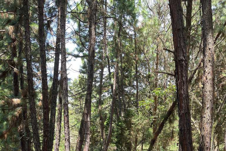 Extreme ATV adventure in Medellin
