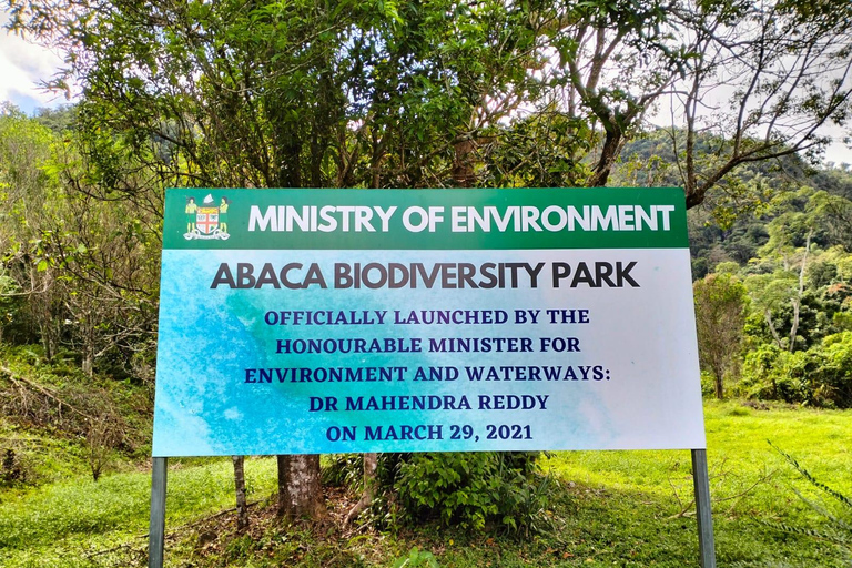 Lautoka: Abaca Waterfall Hike and Swim Day Trip