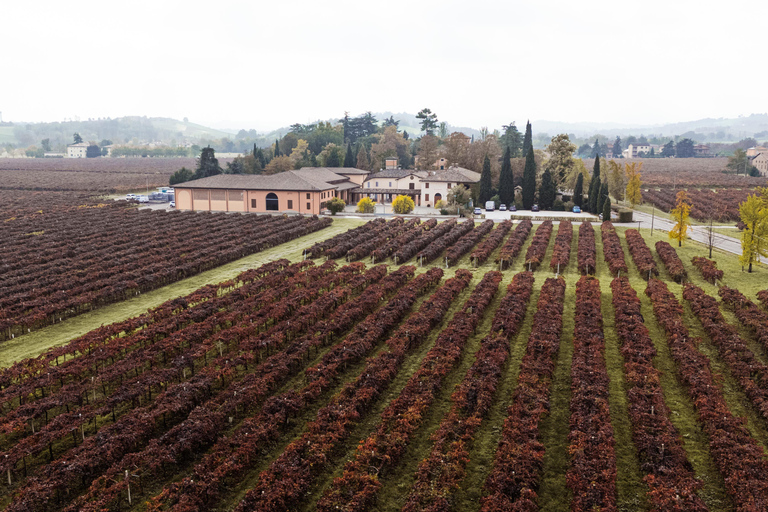 Castelvetro: winery tour and Lambrusco tasting Castelvetro: winery tour and Lambrusco tasting