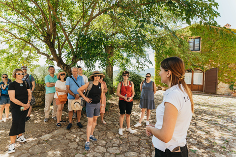 Florence : Sienne, San Gimignano et Chianti en petit groupeJournée complète de visite de la campagne avec déjeuner