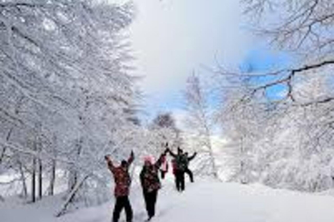 Bariloche: Full Day - Snow on the Edge - with Lunch and fun in the Mountains Bariloche: Full Day - Snow on the Edge - with Lunch and fun in the Cordillera