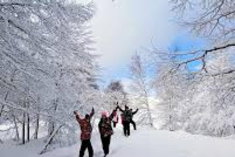 Bariloche: Full Day - Snow on the Edge - with Lunch and fun in the Mountains Bariloche: Full Day - Snow on the Edge - with Lunch and fun in the Cordillera