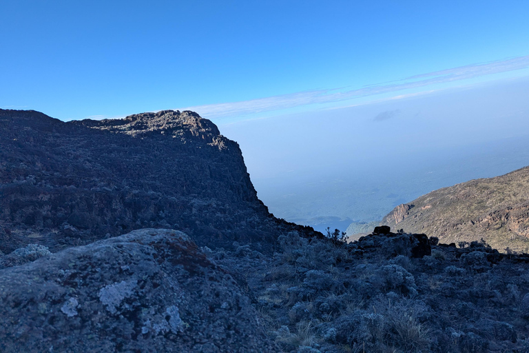 From Moshi: Kilimanjaro Day Trip to Shira with Hike & Picnic