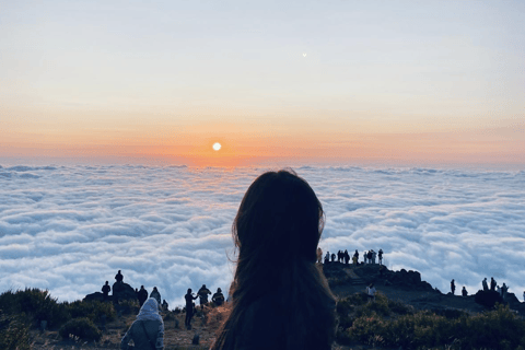 Funchal: Caminhada guiada ao nascer do sol e Escada para o Céu