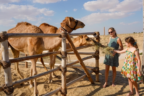 Dubai: Desert Safari, Quad Bike, Camel Ride & Al Khayma Camp 7-Hrs Tour & BBQ Dinner without Quad Bike