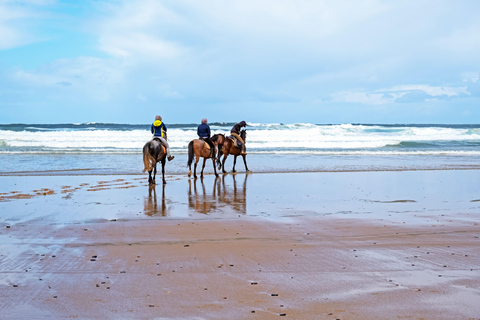 Mykonos: Horseback Riding To Fokos Beach & Farmland