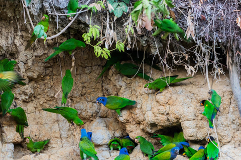 From Cusco: Manu Park 3-day ecotourism and adventure From Cusco: Manu Park 3-day ecotourism and adventure