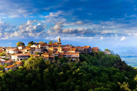 Vanuit Tbilisi: Kakheti wijntour met lunch en proeverijen